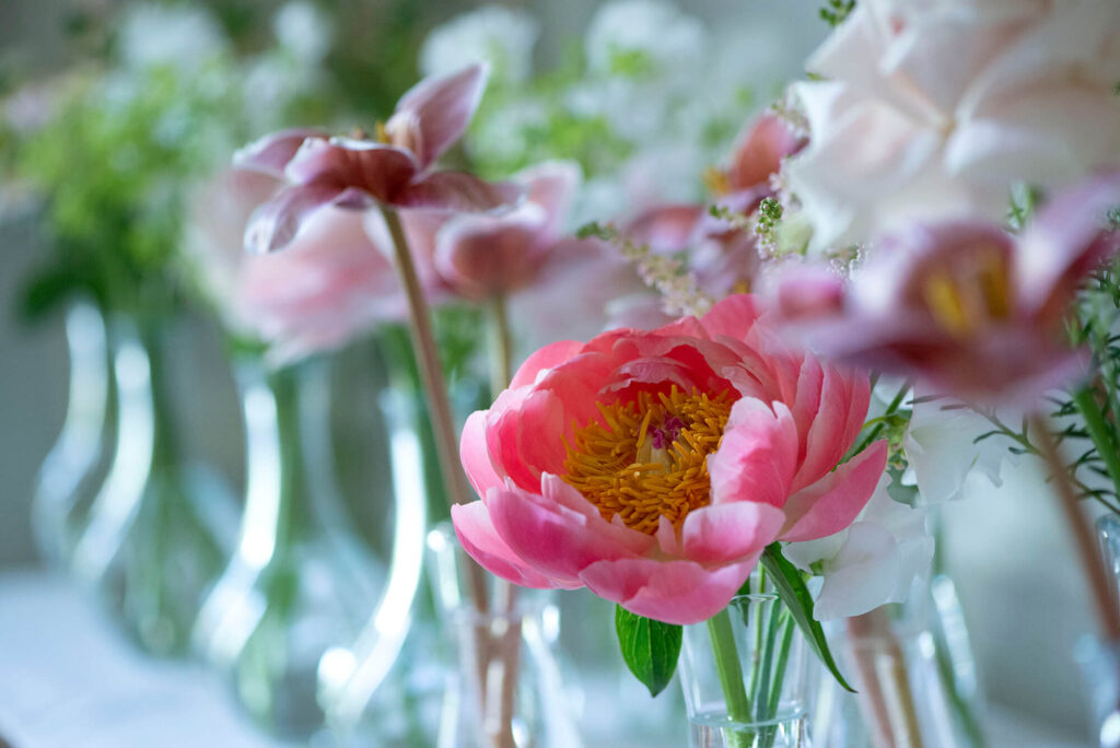 Close up of a peony in a glass vase