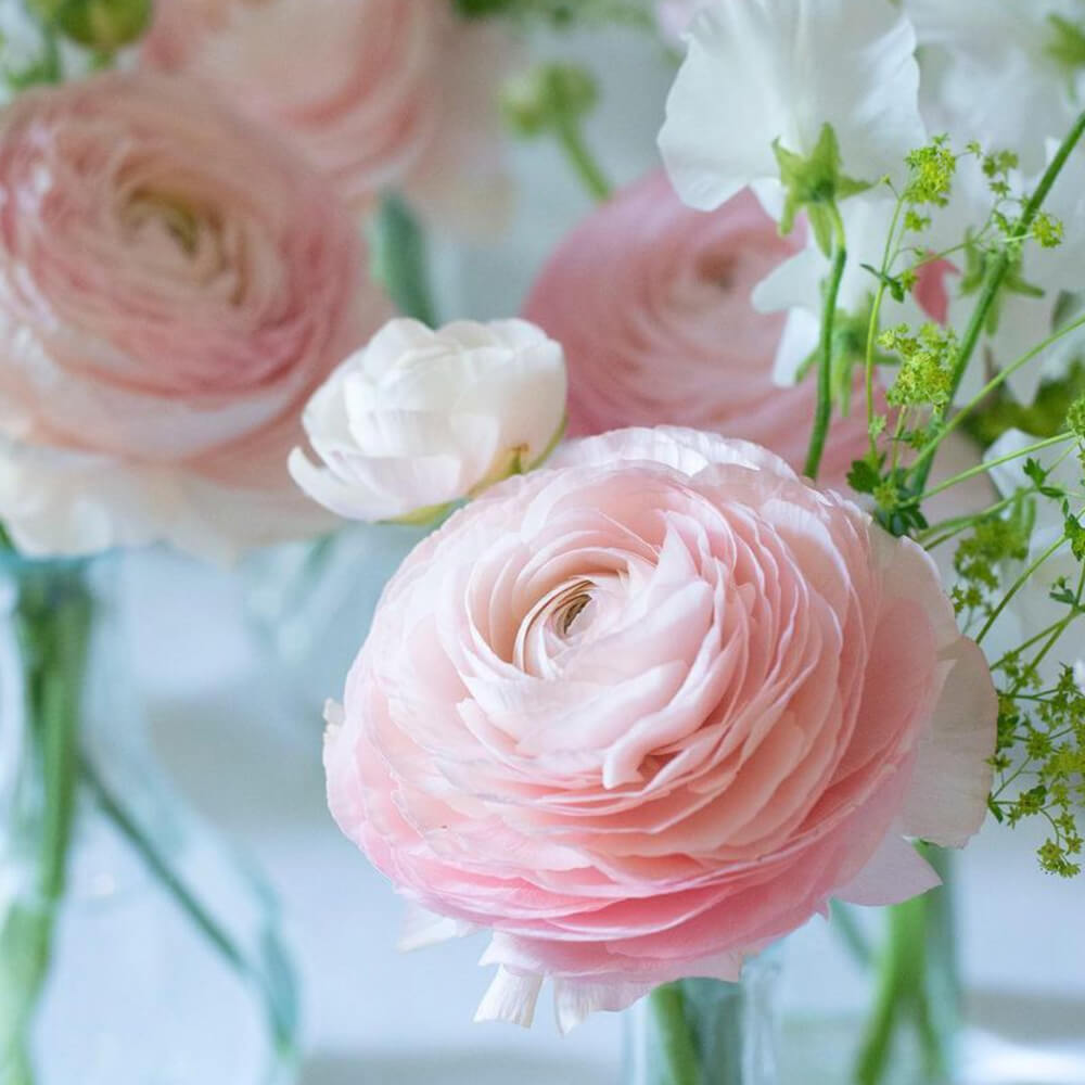 Floral Details for the Perfect Wedding - Georgina Chapman Flowers